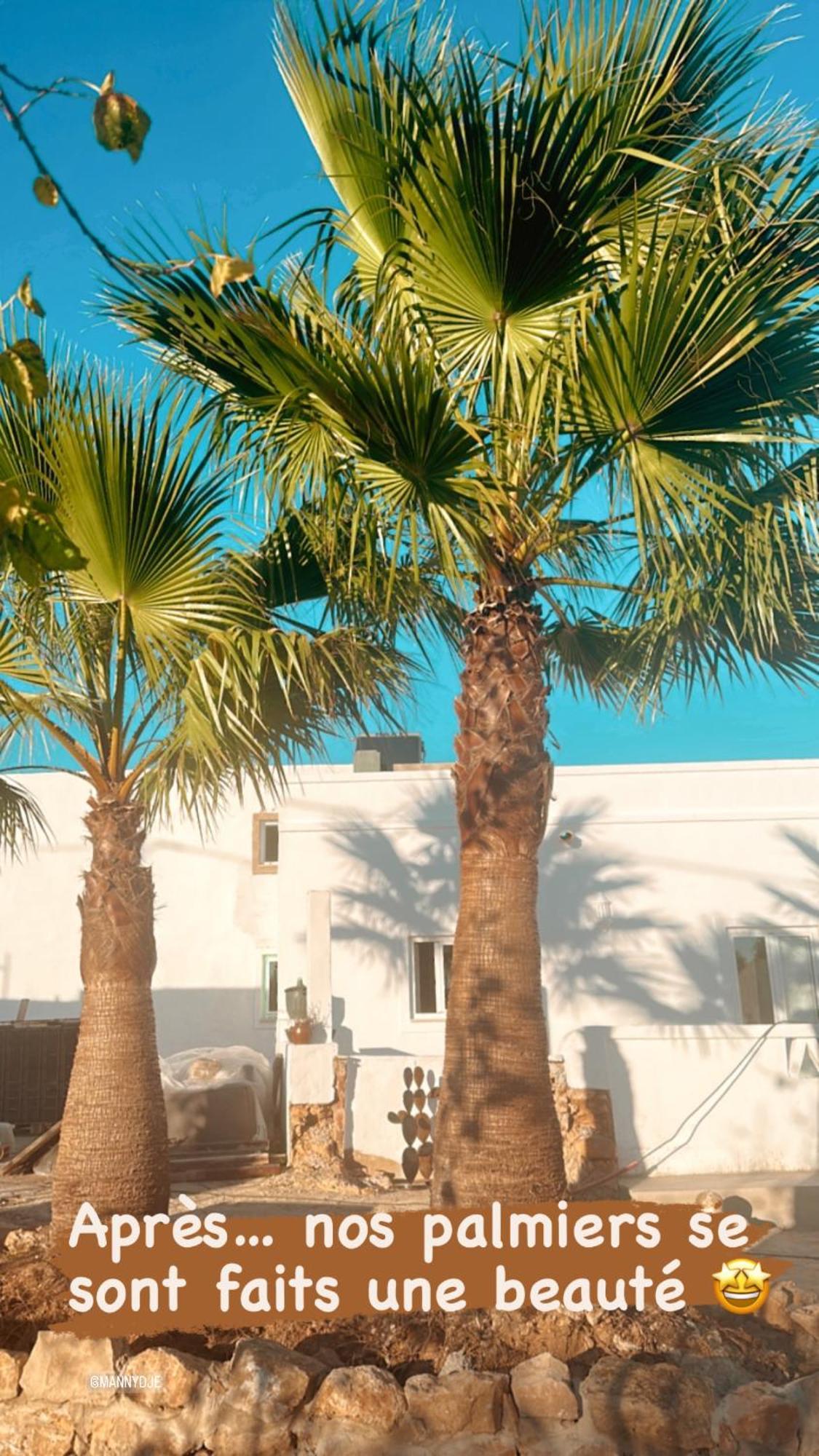 La Quinta Da Liberdade - Ferme De Charme En Algarve Βίλα Pechão Εξωτερικό φωτογραφία