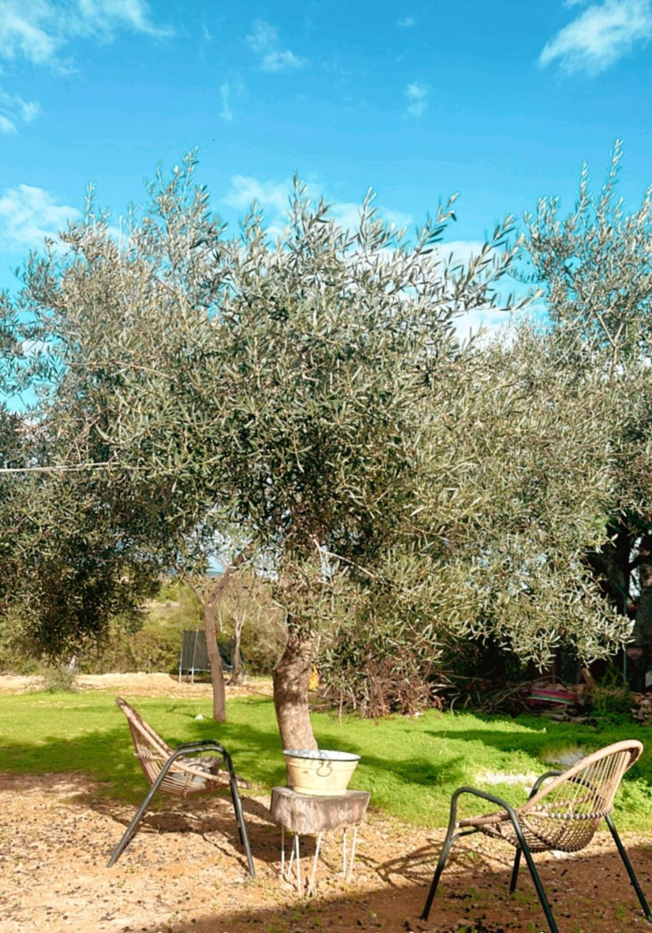 La Quinta Da Liberdade - Ferme De Charme En Algarve Βίλα Pechão Εξωτερικό φωτογραφία