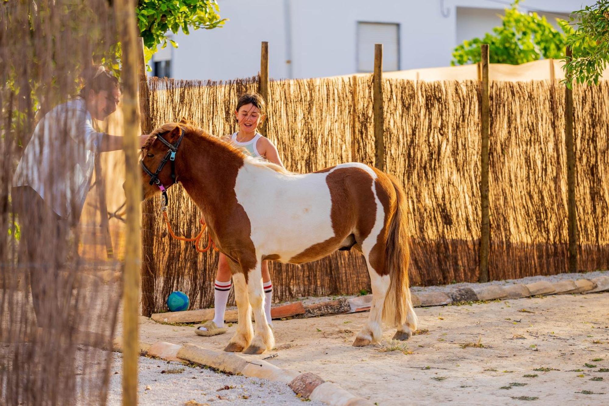 La Quinta Da Liberdade - Ferme De Charme En Algarve Βίλα Pechão Εξωτερικό φωτογραφία